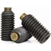 NEWPORT FASTENERS Socket Set Screw, Brass Tip, 4-40 x 5/16", Alloy Steel, Black Oxide, Hex Socket , 100PK 271608-100